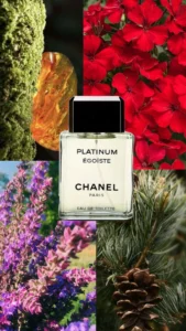 1fc576f49c1a1f602559b64568611e8a