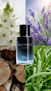 7b40d20362623eb2adc3f528626b4a6c