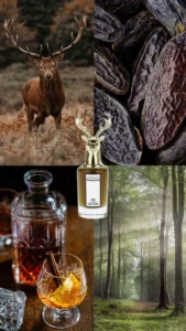 c7b178d25d4df5000843170ce228a0c2