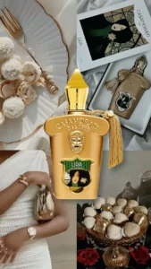 21c5824dc2c604ad00ba4282e7031ea3 Copy