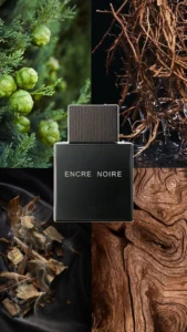 ac0d77b5c64d7f1bf65c98dba03de492