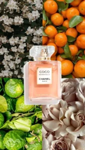 f388e11a6d1b84473664284c03c0e185