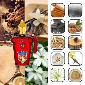 زرجف کازاموراتی بوکت آیدل 1