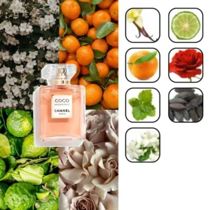 کوکو مادمازل شنل اینتنس 1