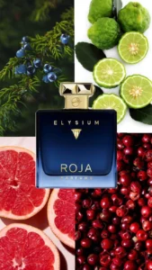 330c767fea66668d2f3d4e8e1a118663