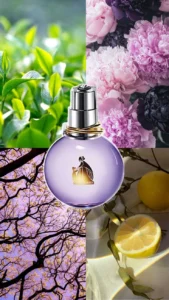 bf643b3441fab92689fbbb60412f1cfe