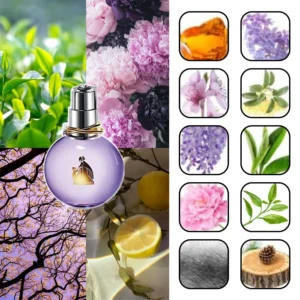 لانوین اکلت زنانه لنوین اکلت دی آرپج