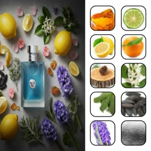 ورساچه پور هوم