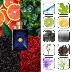 ورساچه پورهوم دیلن بلو