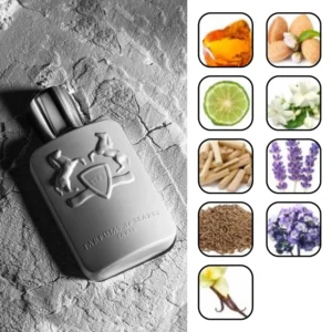 پافومز د مارلی پگاسوس