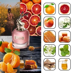 ژان پل گوتیر گوتیه اسکندل