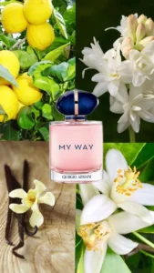 36ec37611387eefaf8529b41d7a30b7a 1