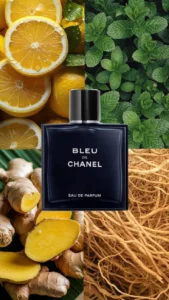 4a910dbb582459c661fb4ed6e5f78045