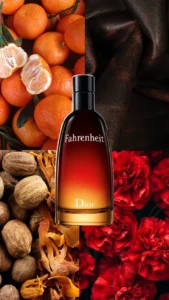 5fa395b317ec1ccd87dba45f082528b6