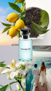 c17222131f1a495a8f6cf27e47be04ed