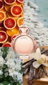 e5f35d77371e05084ec795e1270d56a6