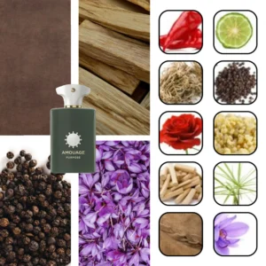 آمواج پرپوس پرپس 1