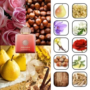 آمواج گایدنس 1