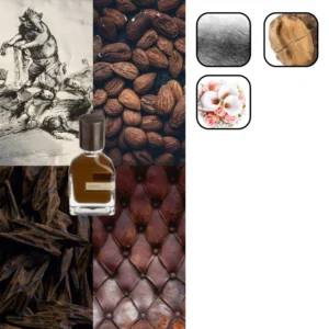 اورتو پاریسی استرکوس 1