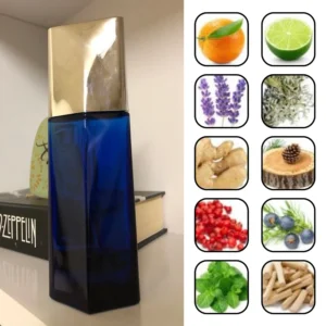 ایسه میاکه لئو بلو د ایسه پور هوم 1