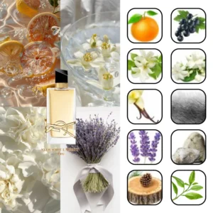 ایو سن لورن لیبر زنانه 1