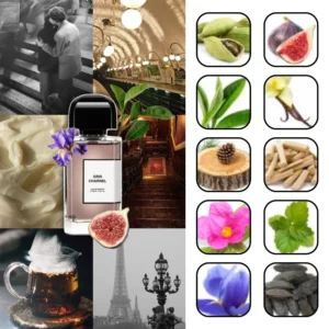 بی دی کی گریس چارنل اکستریت