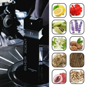 جکس بوگارت سیلور سنت 1