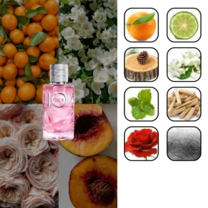 دیور جوی بای دیور 1