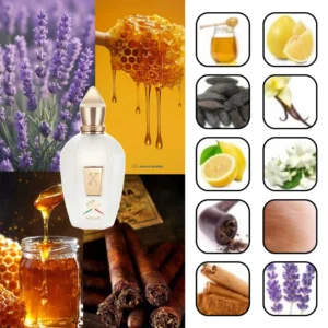 زرجف ناکسوس 2