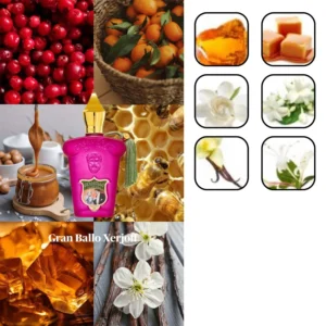 زرجف کازاموراتی گرن بالو