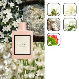 عطر گوچی بلوم