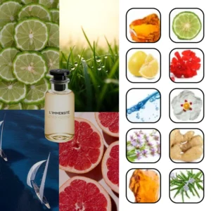 لویی ویتون ال ایمنسیت 1