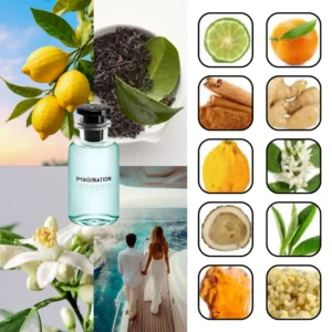 لویی ویتون ایمجینیشن 1