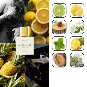 نیشان هاجیوات هاسیوات